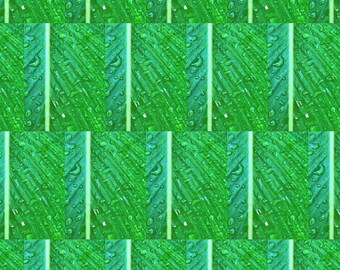 Wrapping Paper, 20x30", Matte or Glossy finish, Original Photography of Repeating Pattern Close-up of Green Palm Leaf. Gift Wrap for wedding