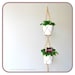 see more listings in the Macrame Plant Hangers section