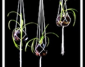 Modern Macrame Plant Hanger / 3 Pack Plant Hanger / Modern Hanging Planters / Simple Plant Hangers / Simple Hanging Planters / Set of Three