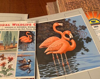 National Wildlife Federation Complete 1969-1976 Wildlife Stamp Album In Very nice Album FREE SHIPPING