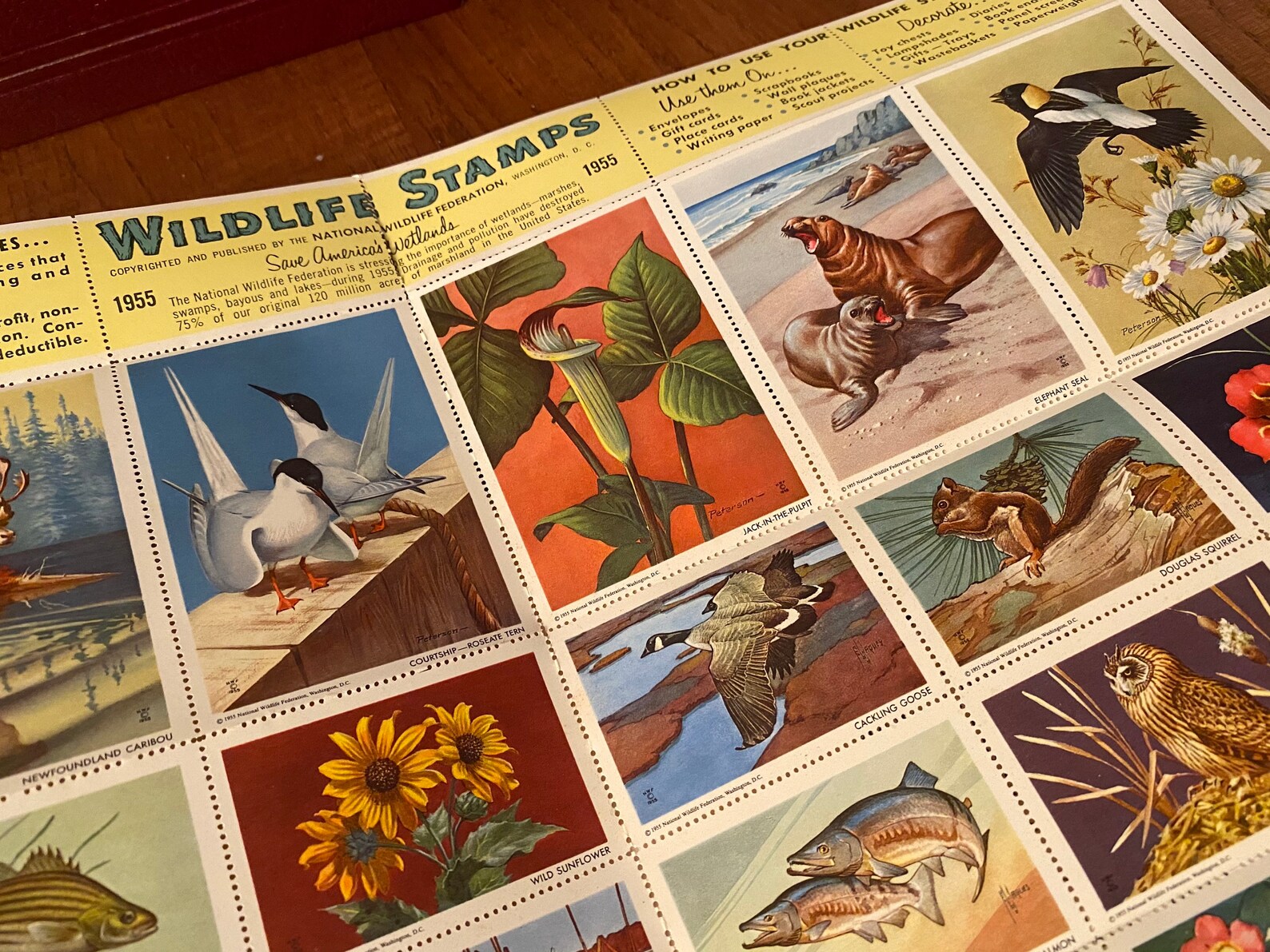 National Wildlife Federation Wildlife Stamp Album rare NOS Etsy