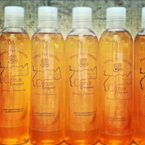 May include: Several bottles of Citrus Bergamot shampoo are displayed. The clear bottles have white caps and labels with the text "Honey Pot Herbals" and "Citrus Bergamot". The shampoo is a light amber color.