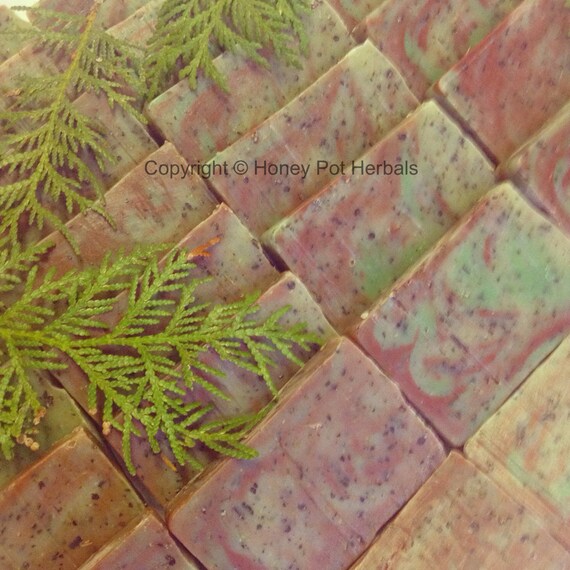 Cedar Soap made with Cedar infused Olive Oil and Cedar Etsy