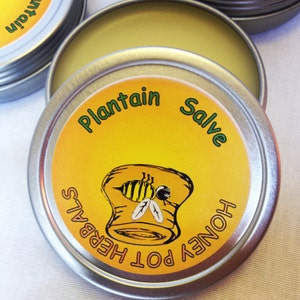 May include: Open metal tin of plantain salve with a yellow label. The label features the text "Plantain Salve" in green, and "Honey Pot Herbals" in black. A cartoon bee is in the center of the label.