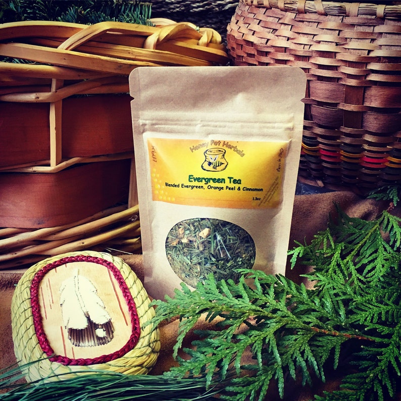 Evergreen Tea with White Pine Red Pine Cedar Juniper Etsy