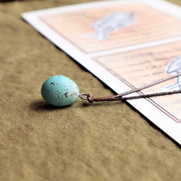 bird egg pendant /song sparrow egg pendant/blue egg