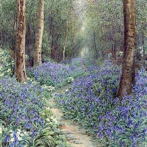 The Bluebell Wood / Counted cross stitch pattern in PDF format / Embroidery pattern / Cross stitch chart / Embroidery design