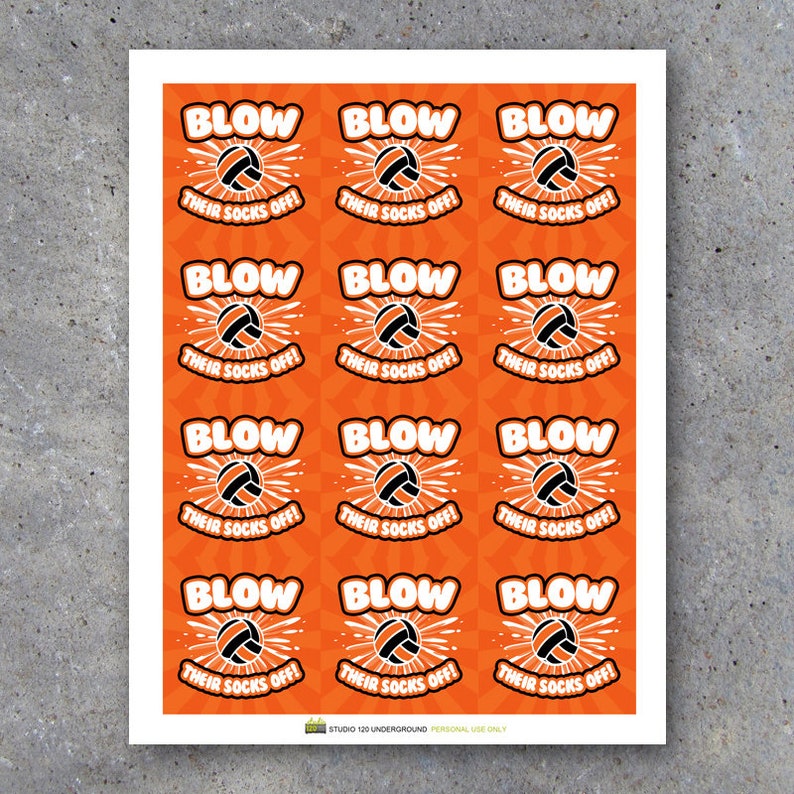 Volleyball Good Luck Gift Blow Their Socks Off Etsy