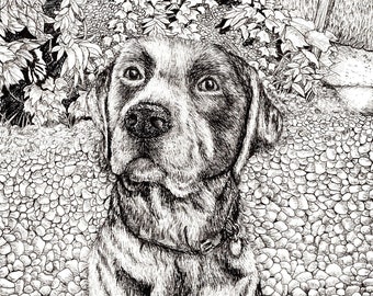 Custom Pet Portrait in Pen A4