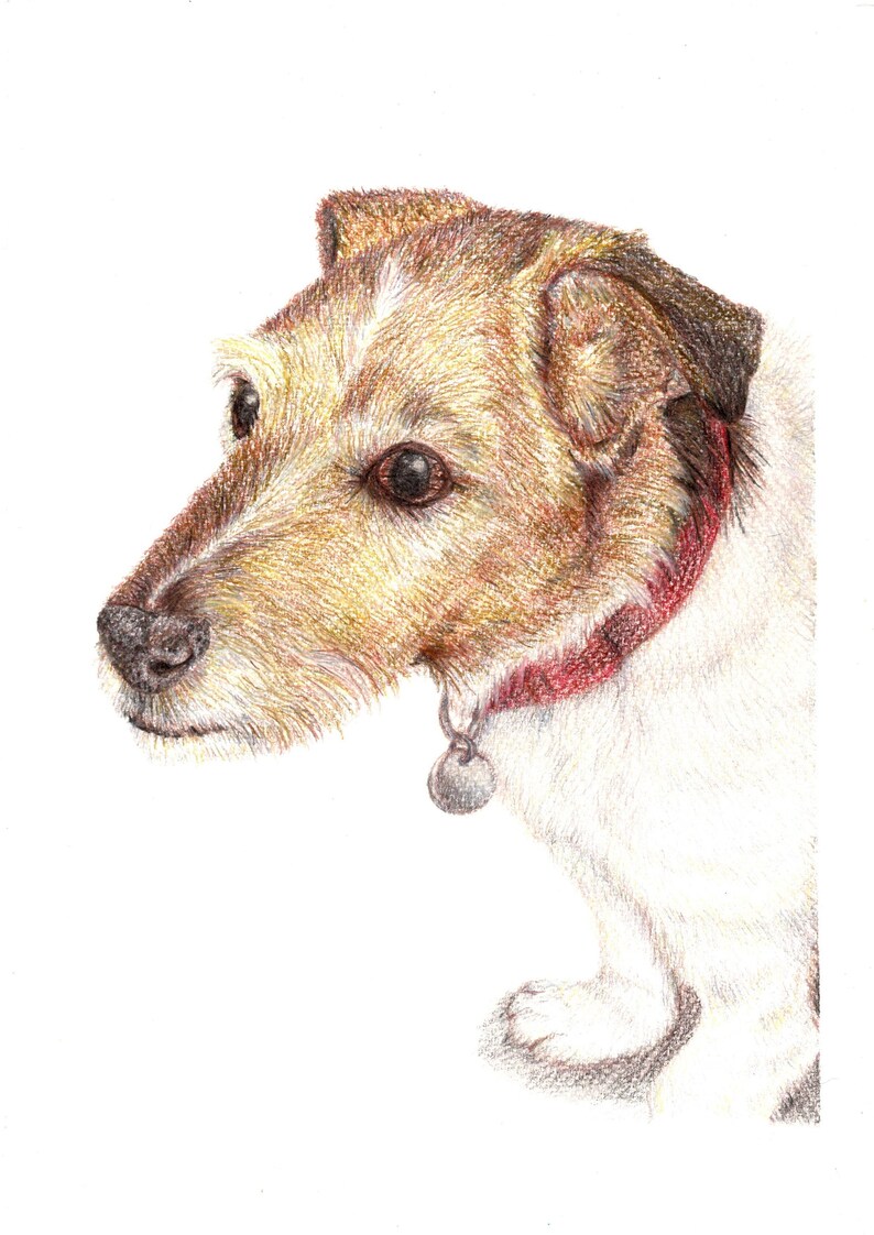 Custom Pet Portrait A4 Colour Pencil image 1