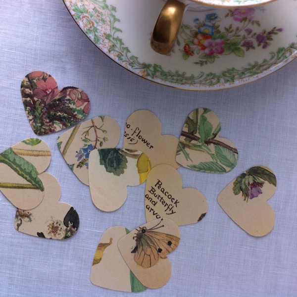 One Inch Floral Paper Hearts - Vintage Bontanical Heart Confetti  - Wedding Decor - Bridal Shower - Tea Party - Valentines Day -