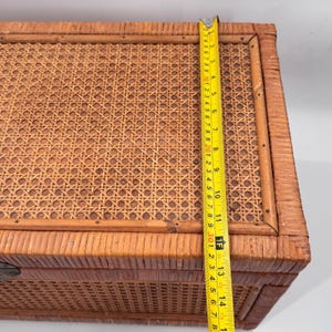 Baúl de almacenamiento chino antiguo de caña y ratán con herrajes de latón de 68,5 cm (27 pulgadas) imagen 11