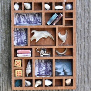 May include: A wooden shadow box with multiple compartments, each containing various objects. These include seashells, miniature books, dice, a key, and small drawings. The box is mounted on a wooden surface.