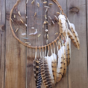 May include: A brown dreamcatcher with white and brown feathers hanging from it. The dreamcatcher is decorated with small, white, shell-like beads.