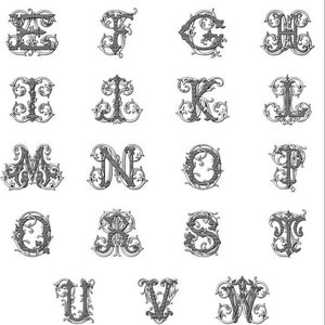 Monogram Linen Hand Towel. Custom Personalized Hostess Gift. Wedding Linens. European Linen. Vintage Vine Single Letter. Grandmillennial image 13
