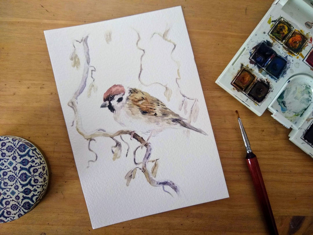 Original Watercolour Bird Sparrow Painting Mini Arwork 5 X 7 - Etsy