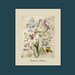 Ophelia's Flowers Poster -16x20 PDF - Romantic Wall Art - Shakespeare ...