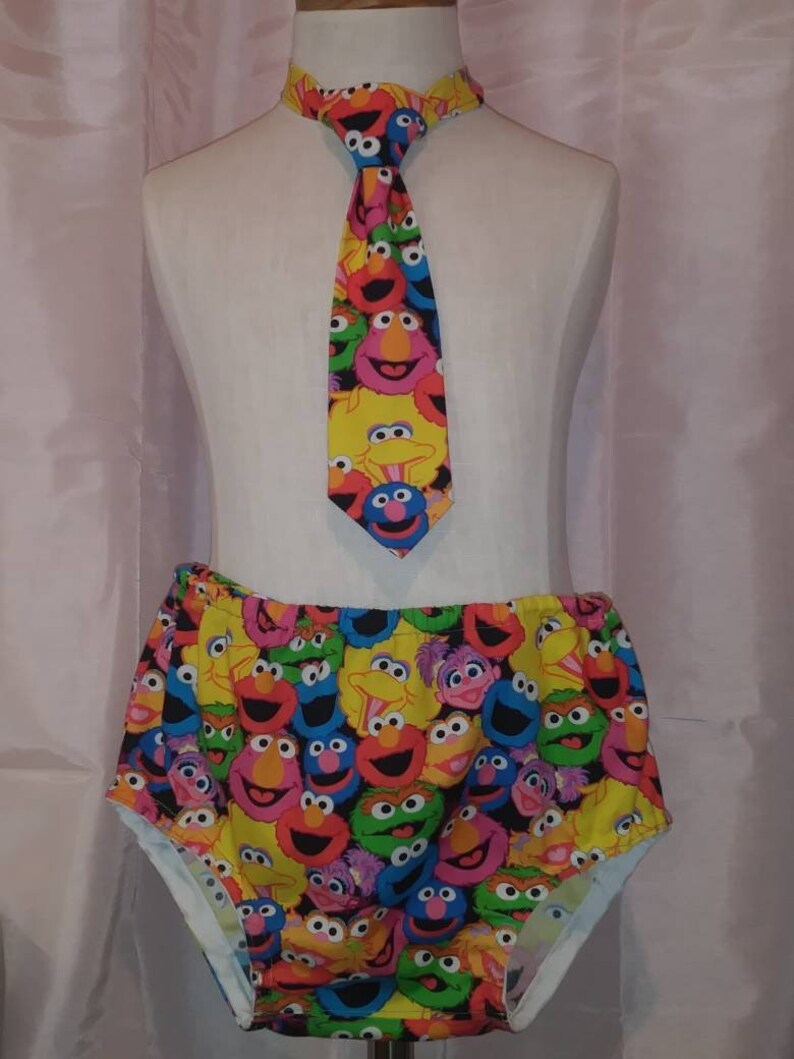 Sesame Street Boys 1St Birthday cake Smash Outfit 6-12 Months DIAPER COVER 9.5 inch length NECKTIE