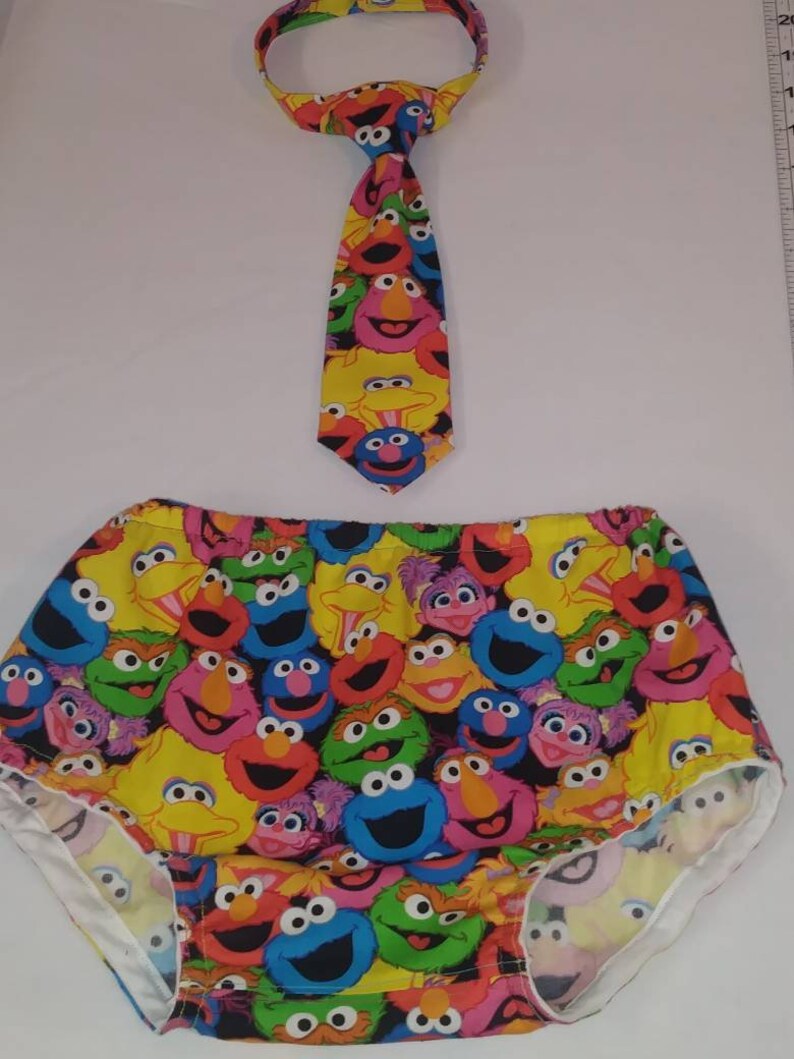 Sesame Street Boys 1St Birthday cake Smash Outfit 6-12 Months DIAPER COVER 9.5 inch length NECKTIE