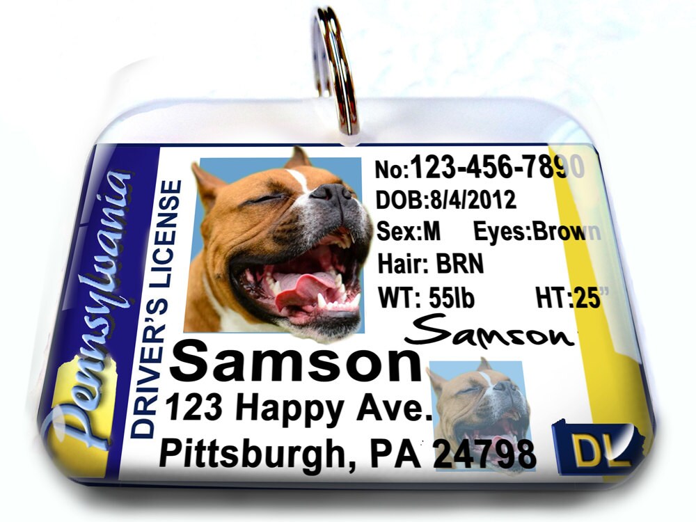 driver's license dog tag
