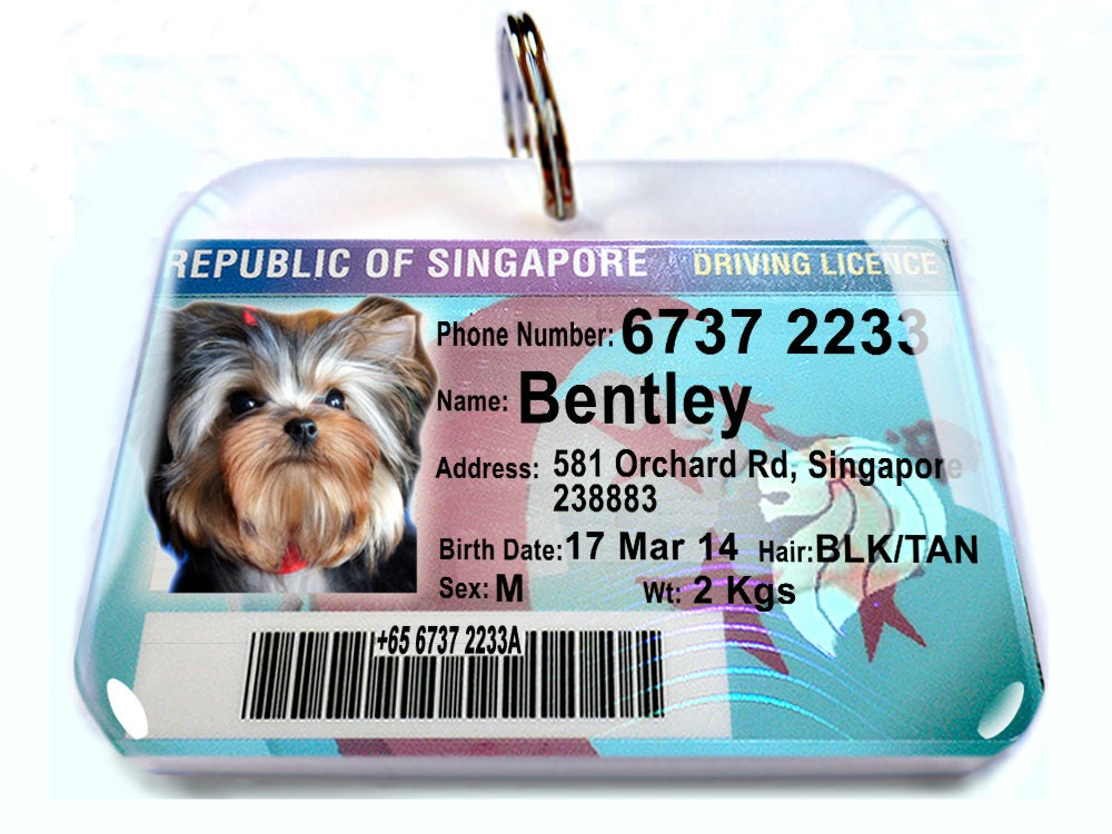 How Much Is Dog License In Singapore