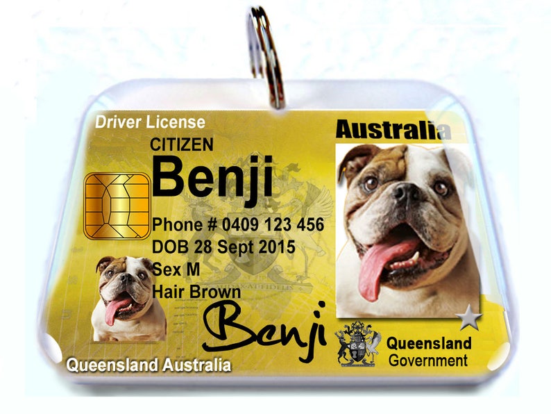 Australia driver license Queensland Personalized Pet ID Tags Etsy