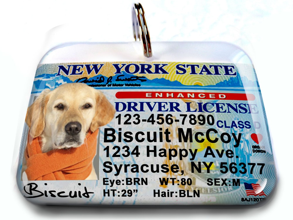 New York driver license Personalized Custom ID Tags for dogs Etsy