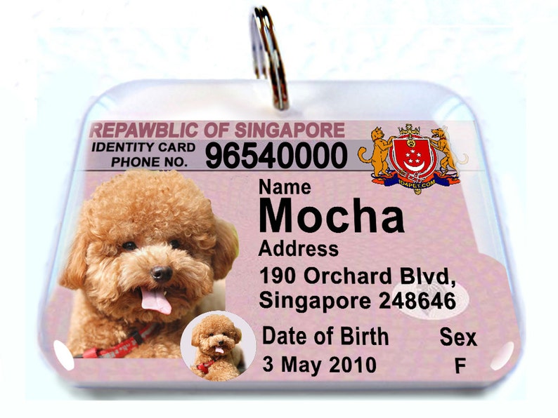 Singapore ID Identification Card Personalized Pet ID Tags Etsy