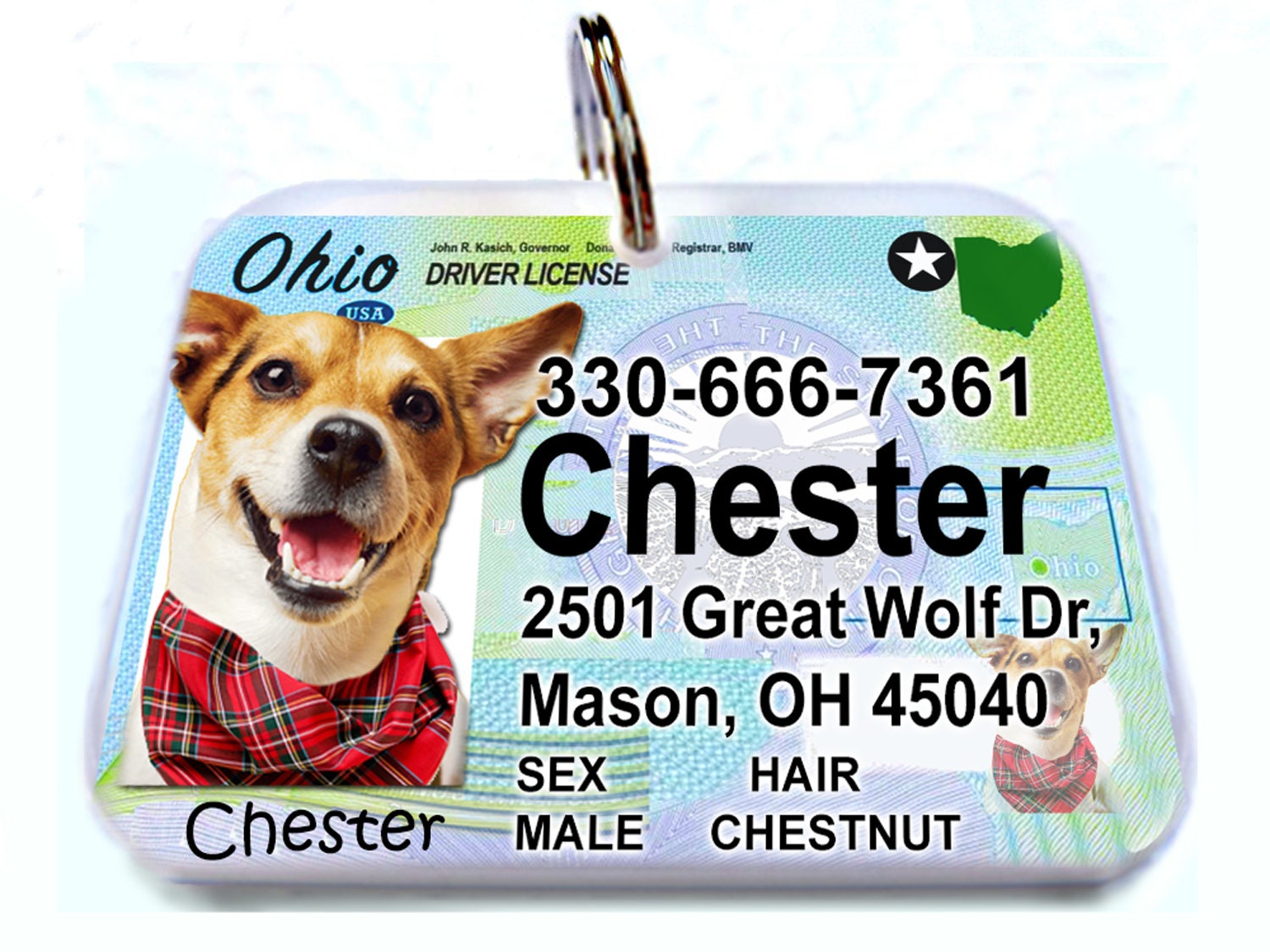 Do Dogs Need A License In Ohio