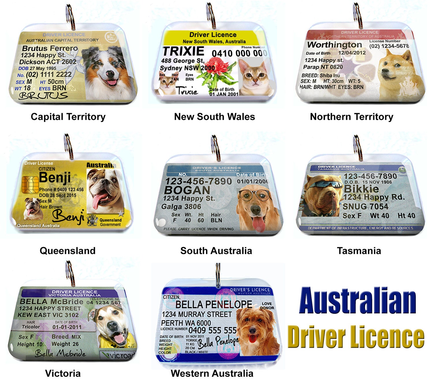 Australia driver license Personalized Pet ID Tags dog tag cat Etsy