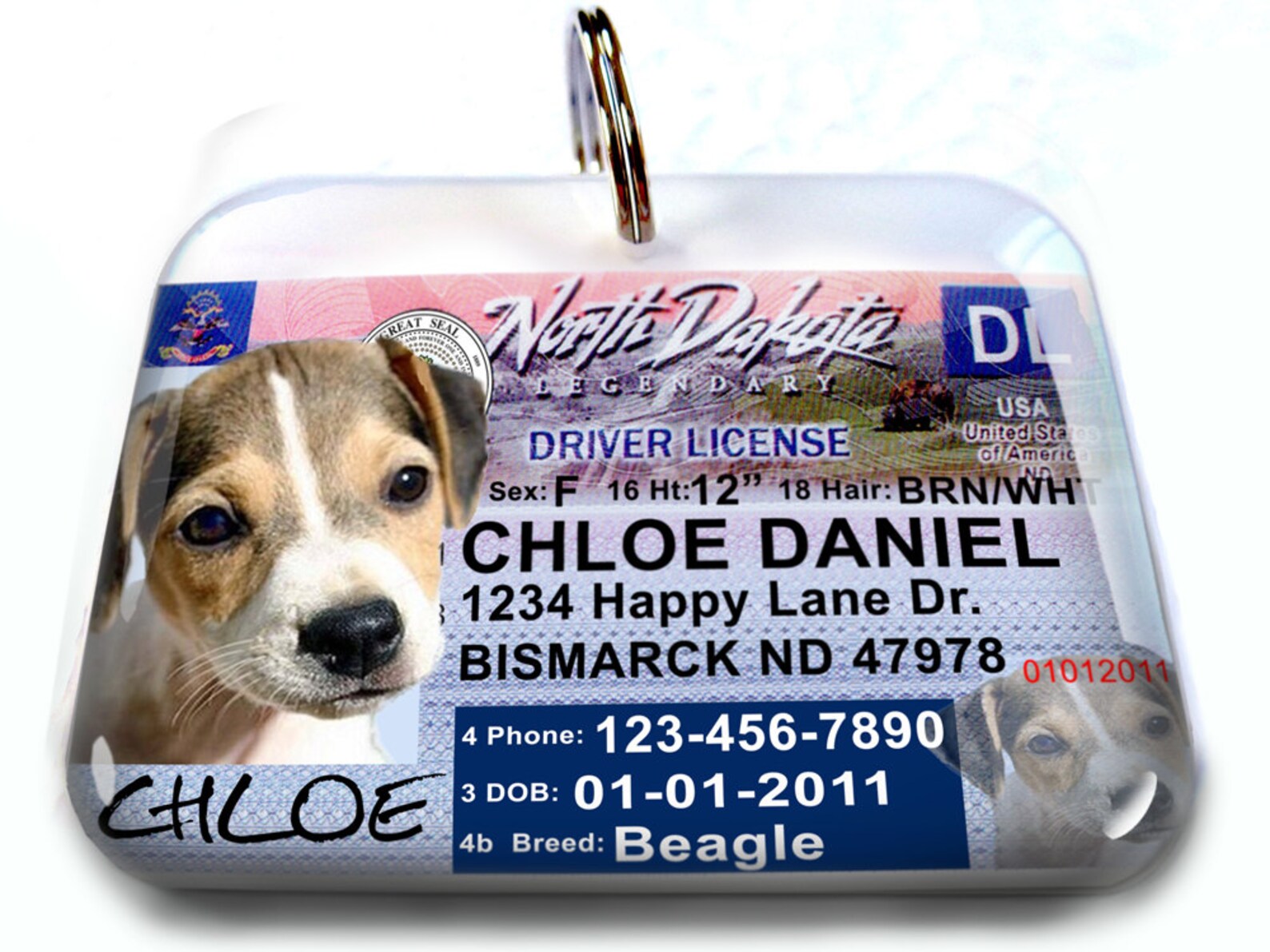 North Dakota Driver License Personalized Custom ID Tags for Etsy