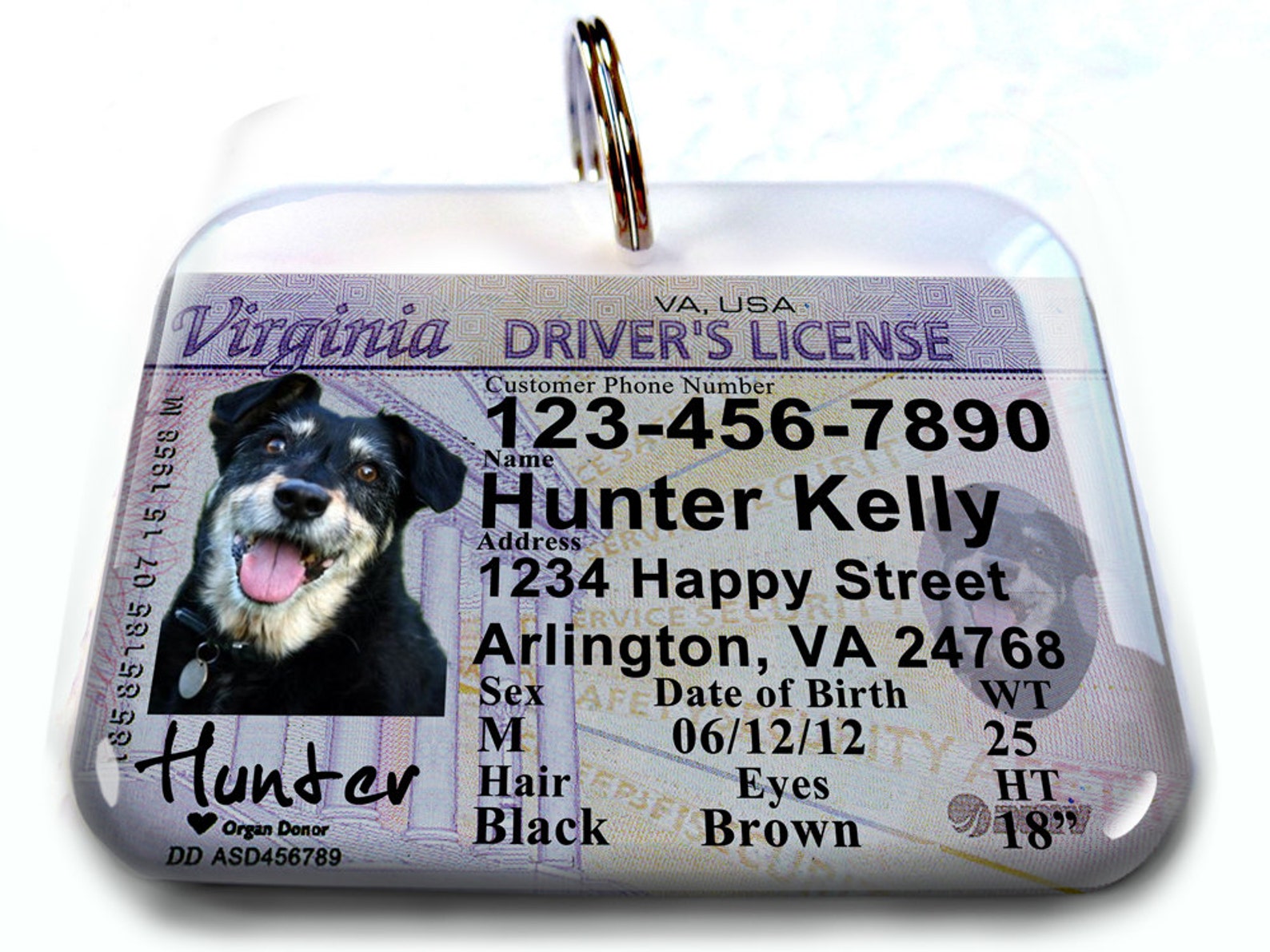 Virginia Driver License Personalized Custom ID Tags for Dogs Etsy