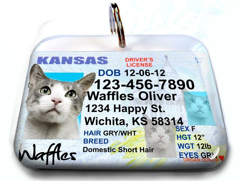 Kansas Driver License Personalized Custom ID Tags for Dogs and Etsy