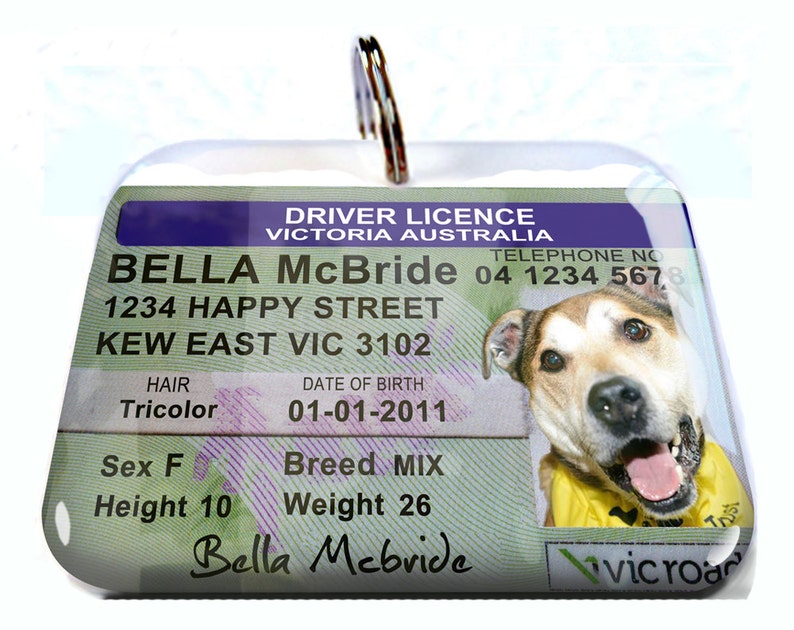 Australia driver license Personalized Pet ID Tags dog tag ...