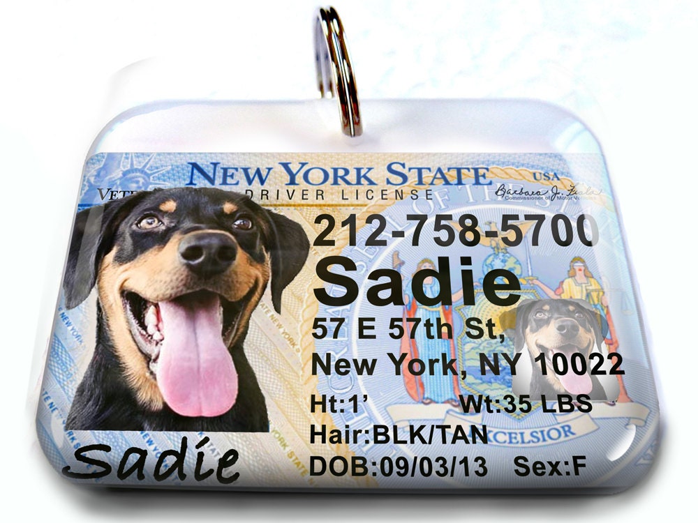 New York driver license Personalized Custom ID Tags for dogs Etsy