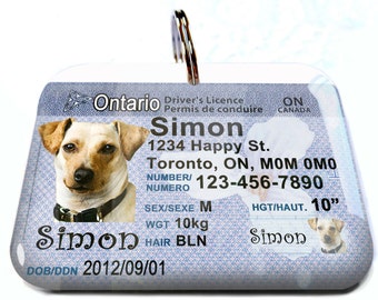 drivers licence dog tag