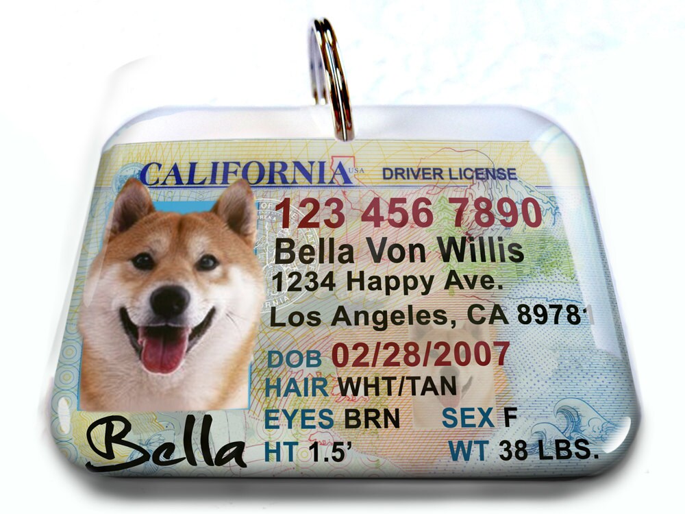 Do You Need A Dog License In California