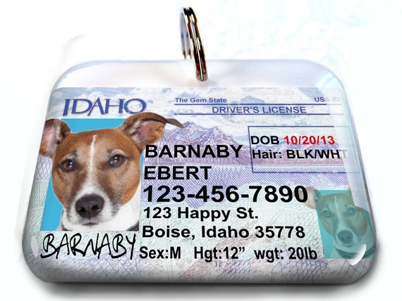 state id dog tag