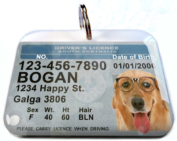 pet id license