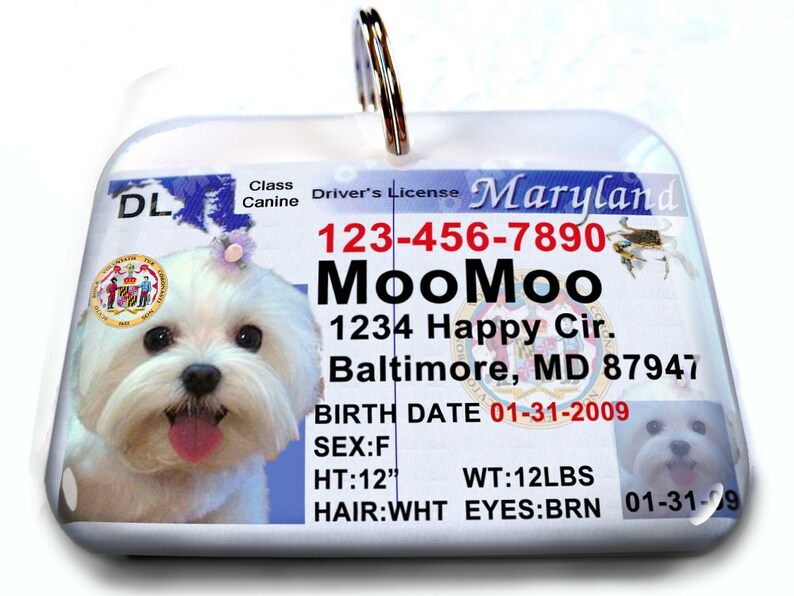 Maryland Driver License Personalized Custom ID Tags for Dogs Etsy