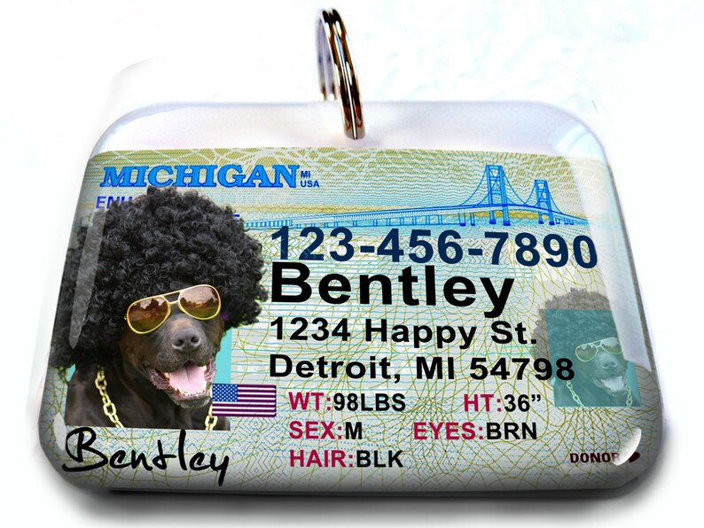 Michigan Driver License Personalized Custom ID Tags for Dogs Etsy