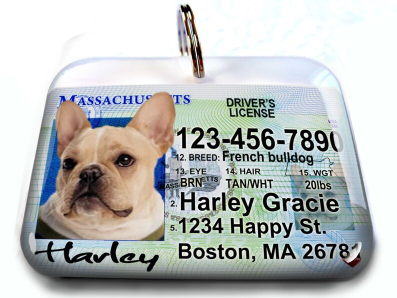 Massachusetts Driver License Personalized Custom ID Tags for Etsy