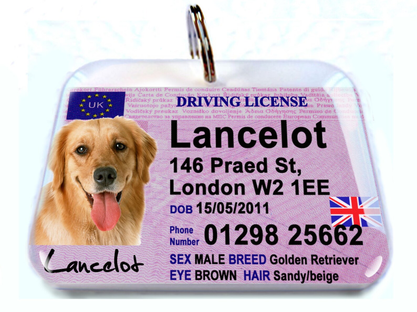 UK LONDON driver license driving license Personalized Pet ID Etsy