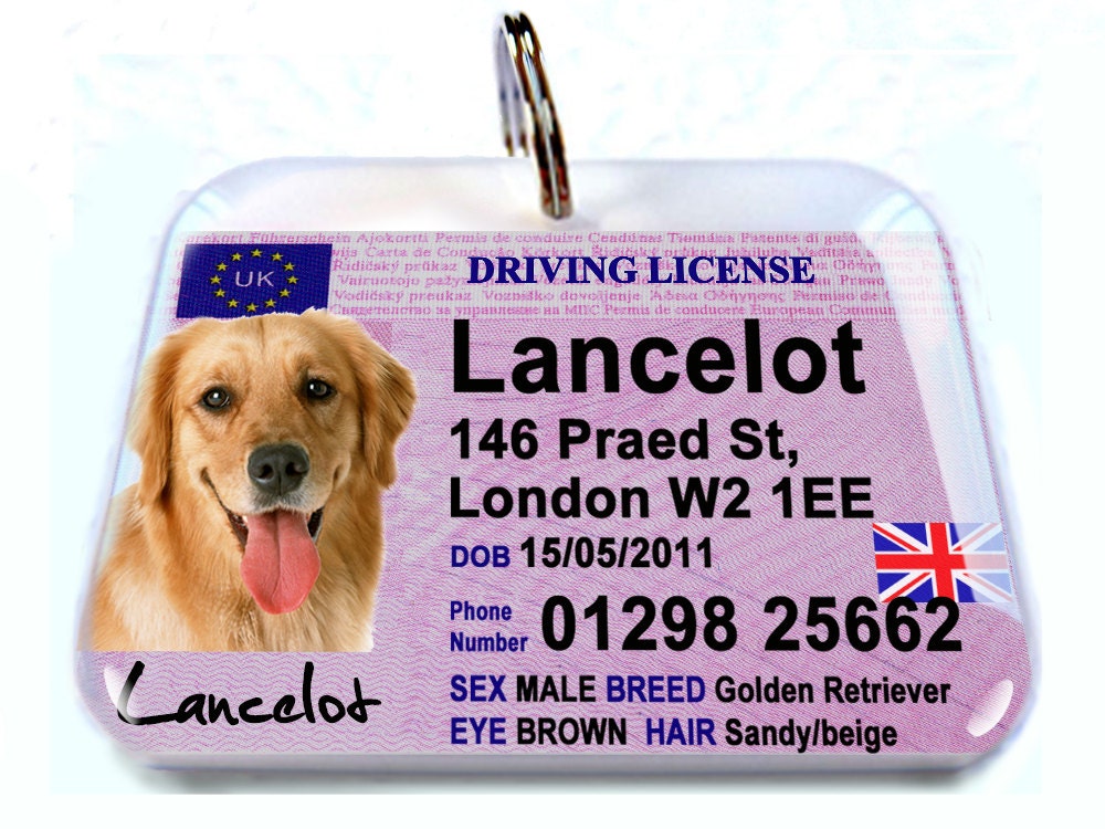 How Much Is A Dog Licence Uk