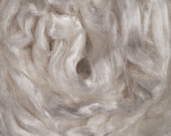 May include: A close-up of a pile of white silk fibers. The fibers are soft and delicate, and they are arranged in a swirling pattern.