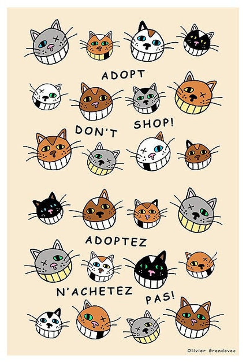 Affiche Adoptez, n'achetez pas /Adopt, don't shop © Olivier Grandovec 40x60 ou 60x80 cm image 1