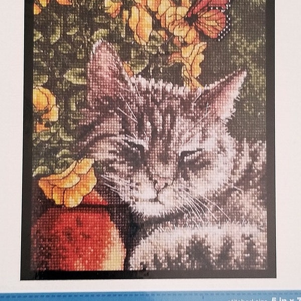 Cat Cross Stitch Kit - Afternoon Nap - 5" x 7" - Bucilla WM45700 - Cat Lover Cross Stitch - Stitched Cat Greeting Card
