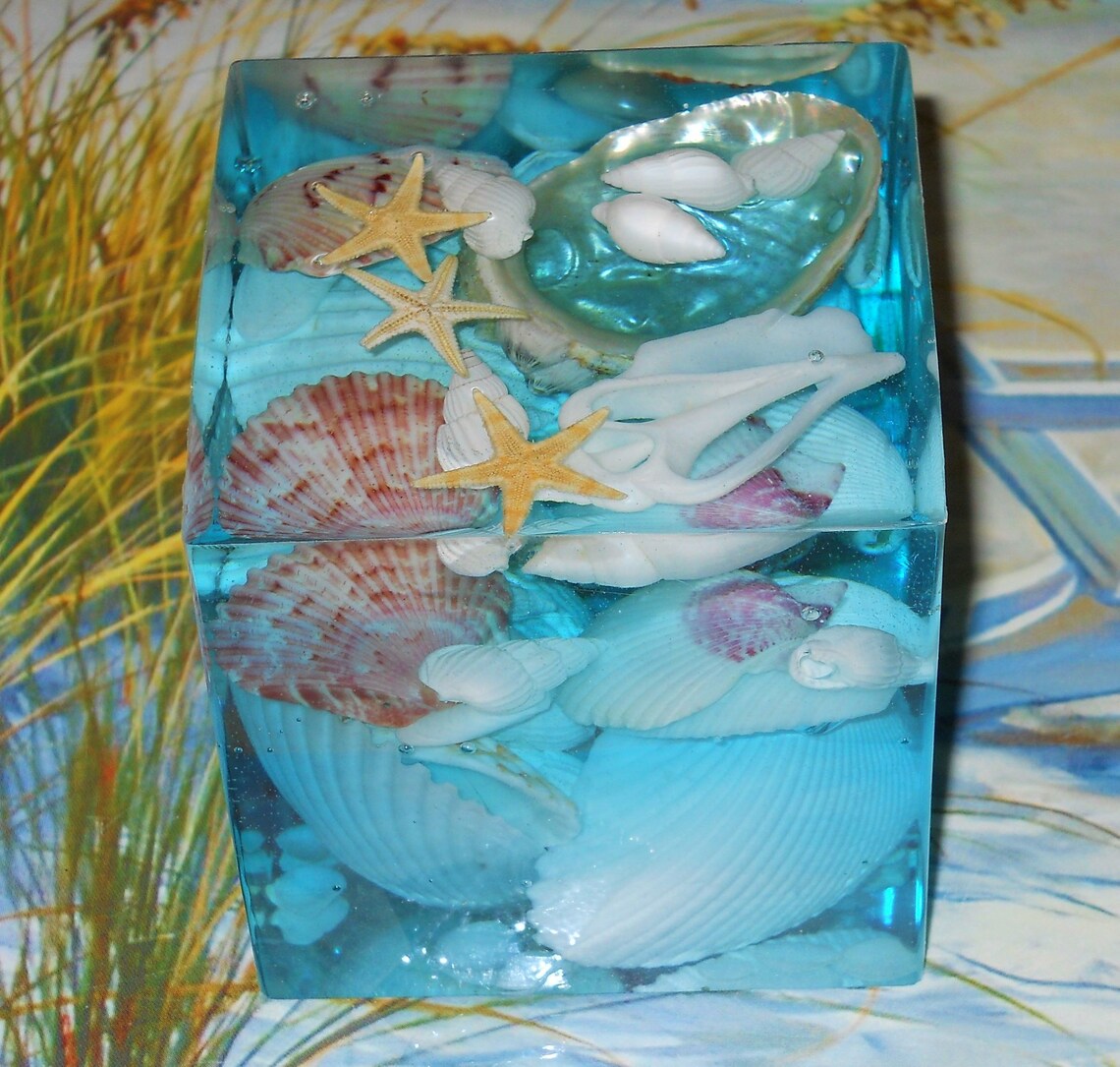 Seashell Paperweight Cube Ocean Life Beach Decor Coastal Etsy