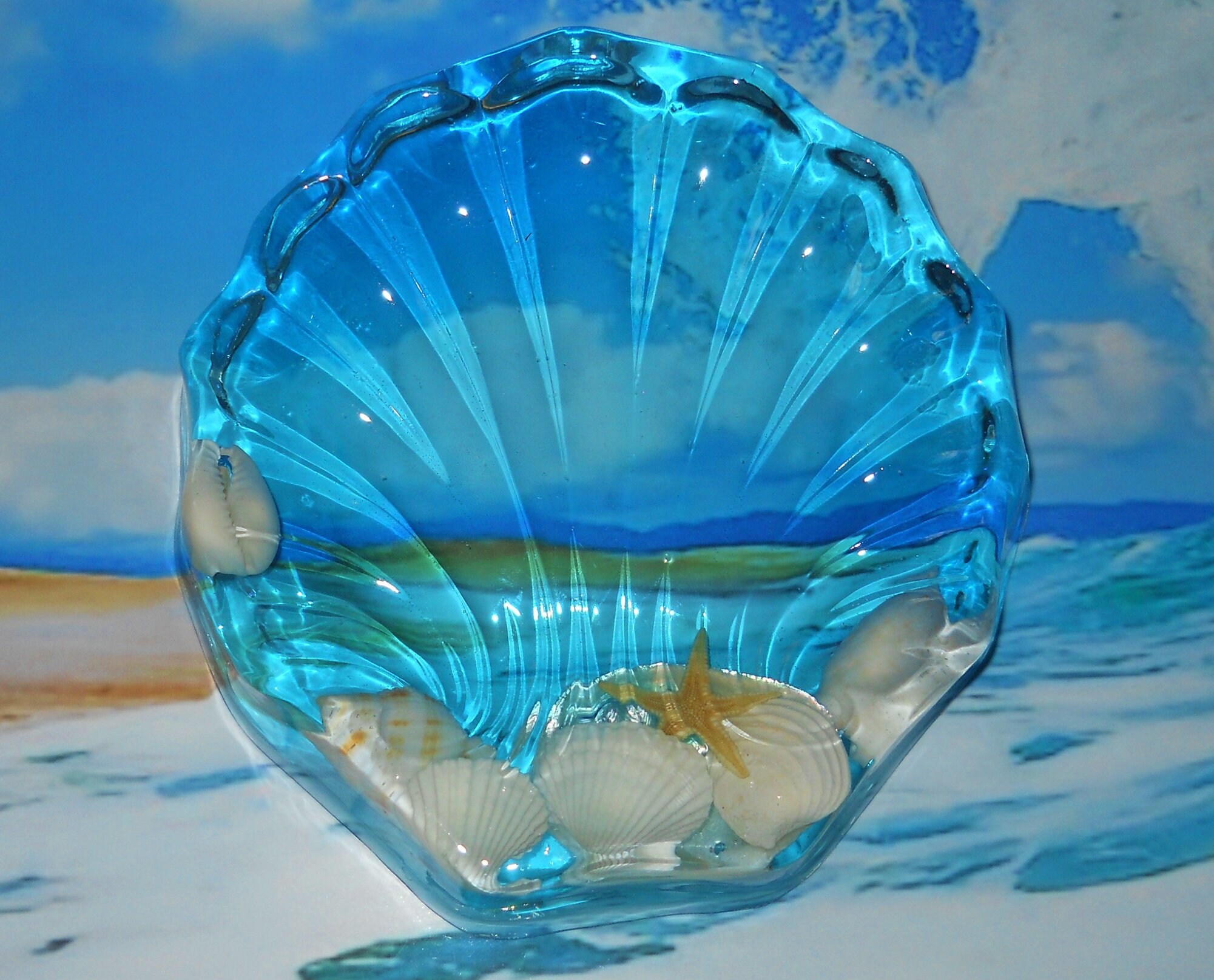 Seashell Soap Dish Blue Ocean Jewelry Holder Nautical Etsy