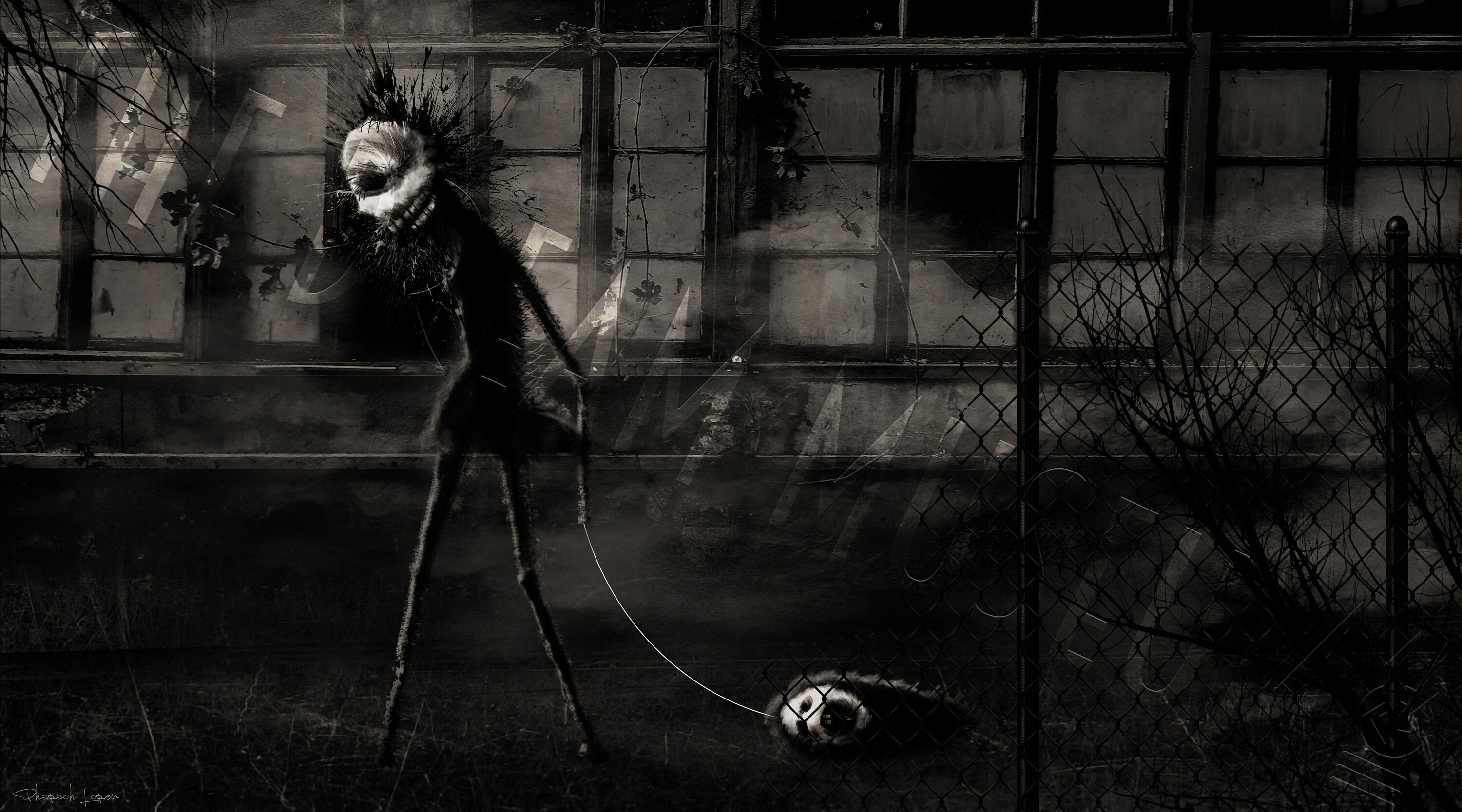 horror and macabre photography
